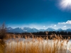 Hopfensee-Allgäu