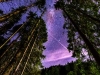 Milchstrasse fotografieren beim Camping im Schwarzwald