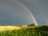 Regenbogen-Fildern