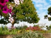 blog_garden_02_dsc_5987