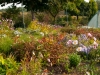 blog_garden_06_dsc_5993