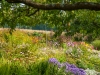 blog_garden_10_dsc_6115