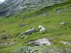 blog_norwegen-fotos_17_p1080763_bestof