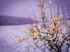 3p-photographie