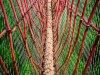 urbane-fotografie_g_05_dsc_3268