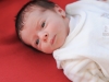 baby-fotografie_g_03_dsc_1443