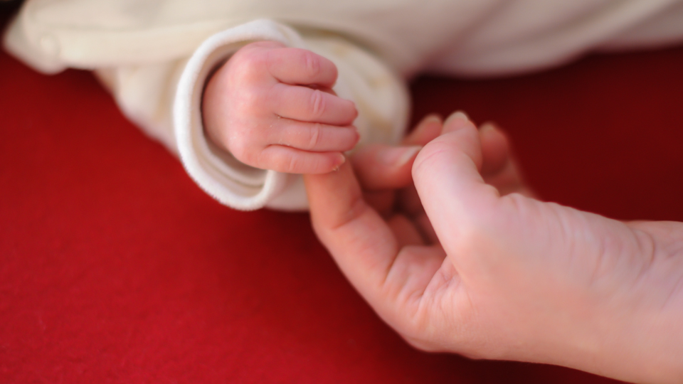 Liebevoll und professionell fotografierte Familien-Fotos – jetzt 15% Rabatt