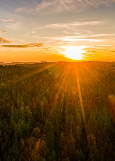 Sonnenuntergang-Schwarzwald